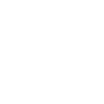 logo_stz.png